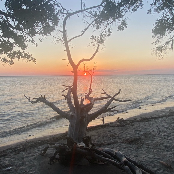 Meet your Posher, Becky - Picture 1 of 1